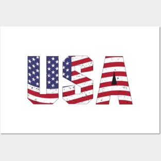 vintage usa text with flag Posters and Art